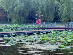 -海合安武汉极地海洋公园