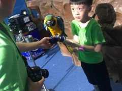 -芜湖新华联大白鲸海洋公园