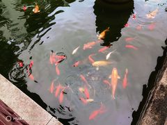 -苏州吴宫泛太平洋酒店