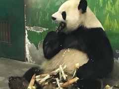 -无锡动物园·太湖欢乐园