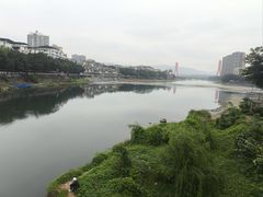 -平安桥张氏肥肠粉