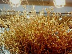 -MIKAKU(万达广场上海宝山店)