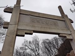 -紫金山山顶公园