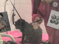 -达爱动物医院·犬猫分区·CT·复杂眼科(远洋山水分院)