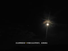 -望湖烤鱼