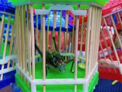 -大学城夜市大排档(凤栖路店)