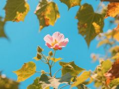 -西安市长乐公园