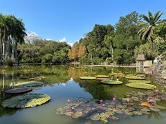 -中国科学院西双版纳热带植物园