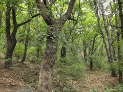 -棋盘山风景区