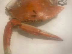 -初色海鲜自助(万丰路店)