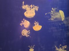 -杭州海底世界