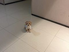 -沈阳铁西万象汇