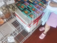 -蓝湾碧波·老字号·疍家非遗海上餐厅
