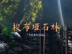 -梭布垭石林景区