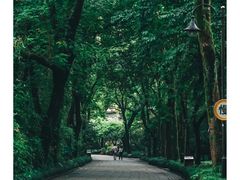 -杭州植物园