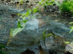 -西岭雪山大飞水景区