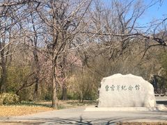 -红楼梦邮局