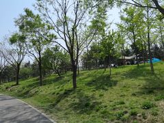 -东郊湿地公园