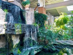 -南宫五洲植物乐园