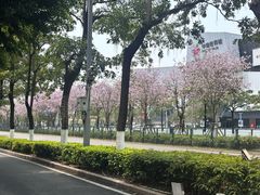 -中骏世界城(泉州店)