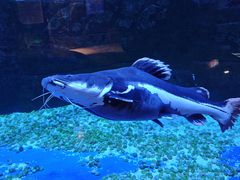 -成都浩海立方海洋公园