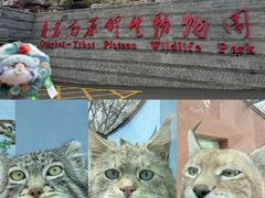 -青藏高原野生动物园