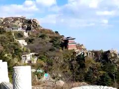 -万达广场(泰安泰山店)