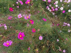 -汉长安城未央宫国家考古遗址公园