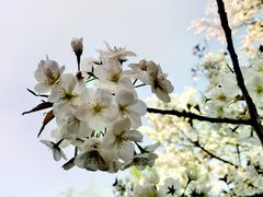 -黄兴公园