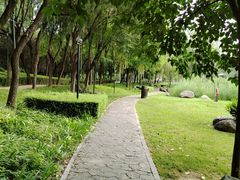 -唐城墙遗址公园