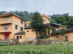 -杨家堂村
