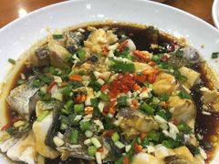 -全乐鱼馆·淳牌有机鱼直营店