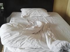 -上海棕榈滩海景酒店