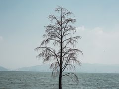-大理洱海