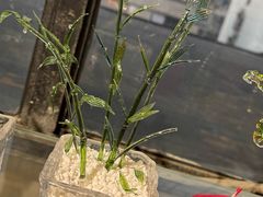 -隐工匠·银饰·烧玻璃DIY手工坊(蓝·芳华店)