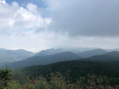 -武陵山森林公园