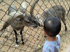 -大连森林动物园