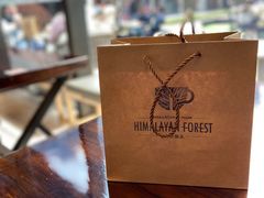 -喜马拉雅森HIMALAYAN FOREST