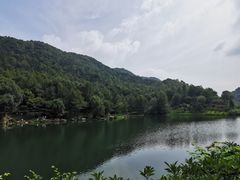 -桃花岭景区