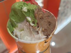 -VENCHI 闻绮(上海佛罗伦萨小镇店)