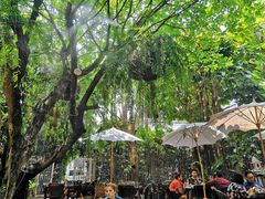 -Fern Forest Cafe