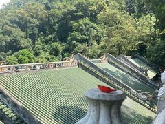 -鼎湖山风景区