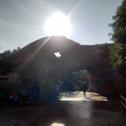 -翱翔飞越地平线