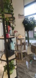 -MY WAY SALON