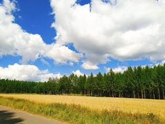 -塞罕坝国家级自然保护区