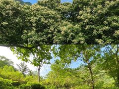 -石砭峪水库