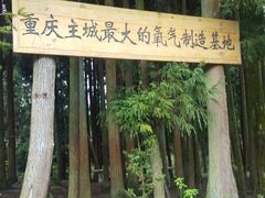 -武陵山森林公园