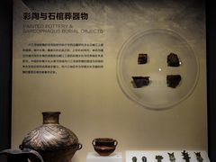 -四川大学博物馆