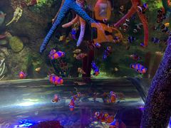 -沈阳海洋探索中心