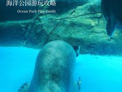 -海合安成都极地海洋公园